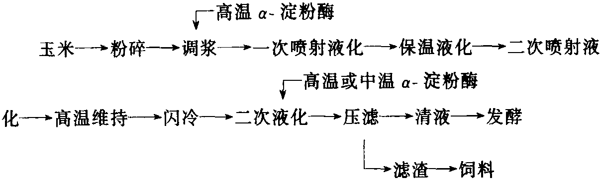 第二節(jié) 檸檬酸